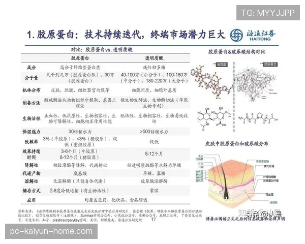 篮球暂停时间限制：规则解析与应用场景详解